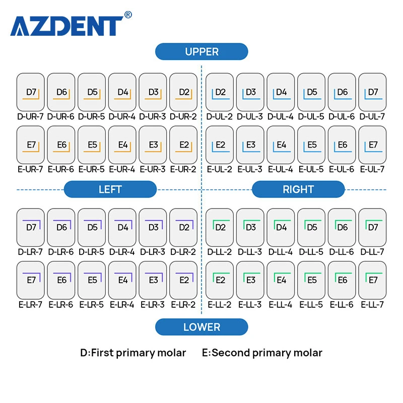 Dental Kids Primary Molar Crowns with Good Durability Plasticity and Extensibility Preformed Metal Crown Pediatric Crown 48 Sizes