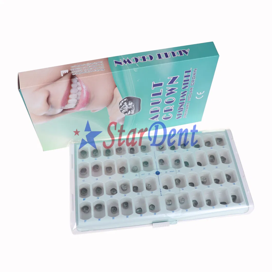 Dental Adult Teeth Crown Primary Molar Crown Material Dental Stainless Steel Crown